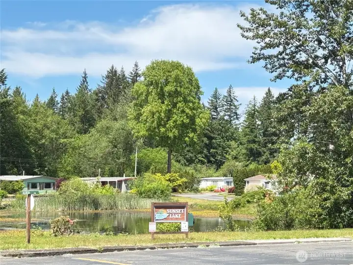 Community lake!
