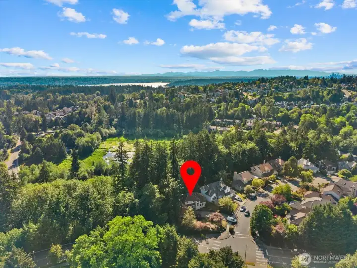 Neighborhood aerial