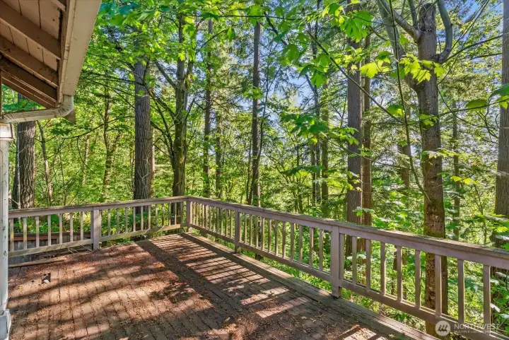 deck-unusable
