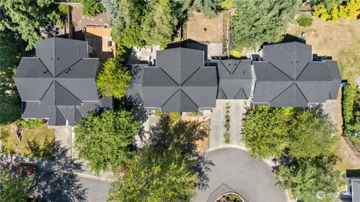 From above, appreciate the home's location within a beautifully landscaped community surrounded by mature trees and open skies.