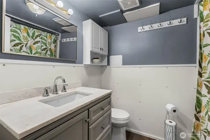Lower Level Bath