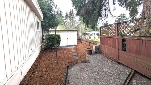 Back fenced in patio looking north towards the shed.