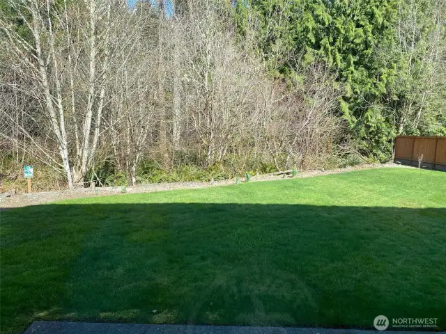 Photo taken by Seller prior to Tenant Occupancy.  Spring daffodils grace the planting border at the back of the yard