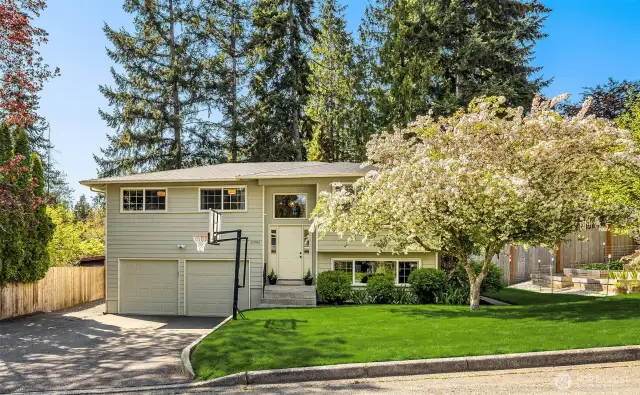 You'll look forward to this tree blooming every spring!