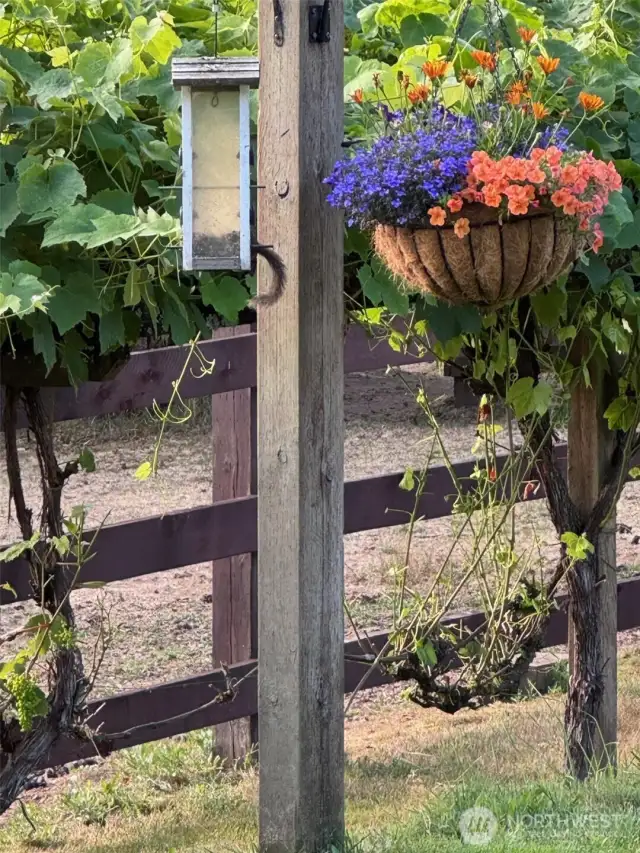 The birds will welcome the dawn and the frogs will lull you to sleep at night.  This is what peaceful living feels like.