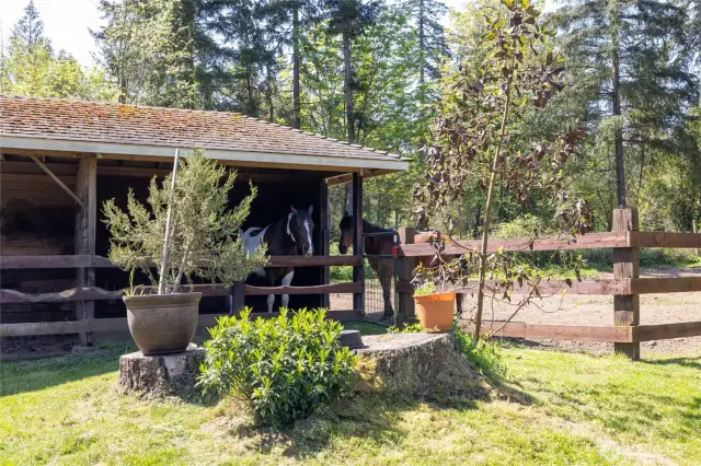 Two horse stalls shown here.  There are two others currently used as hay storage.