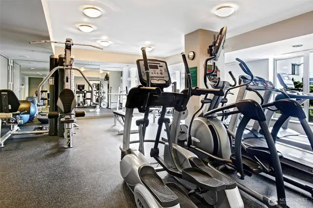 Concord gym.