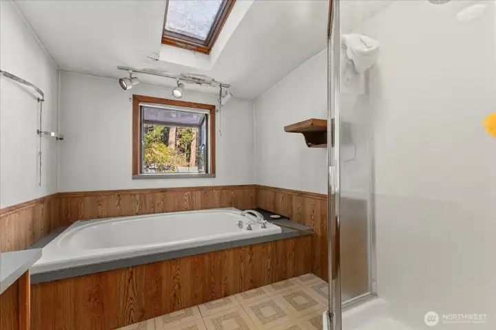 Standing shower and large soaking tub in the main bathroom filled with natural light.