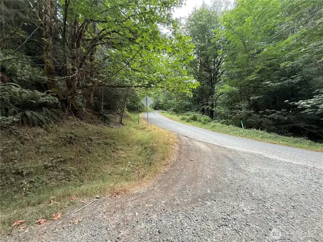 Kolisch Road