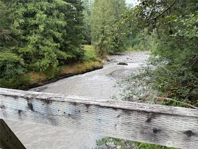 Carbon River 2