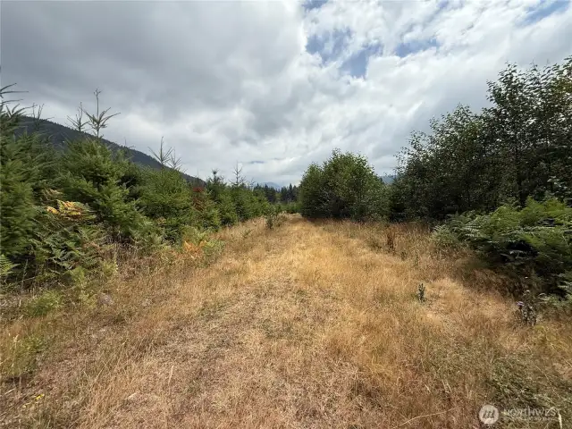 Interior Road