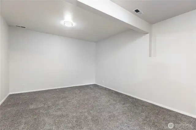 Bonus Area Downstairs