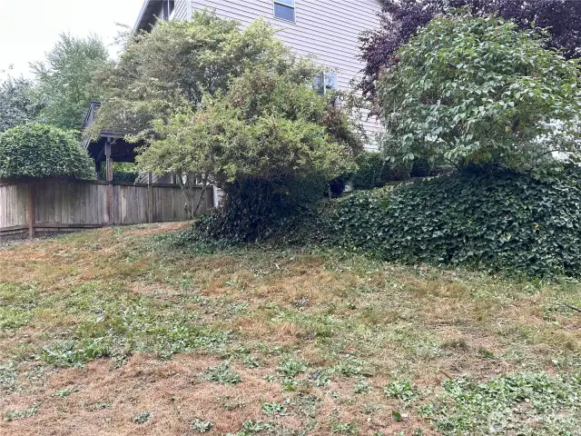 Looking at backside of side yard toward house