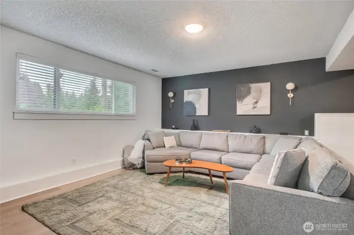 Oversized room downstairs that can be used for a family room or media room.