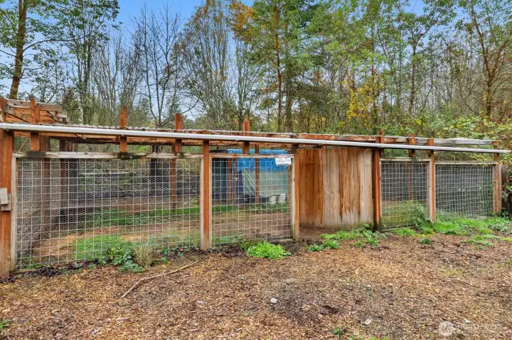 Outbuildings ideal for goats, chickens, horses, or beekeeping