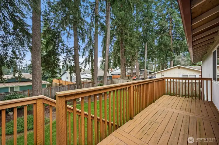 Main level deck off Kitchen