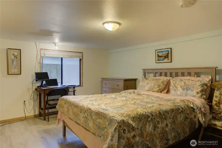 Downstairs bedroom