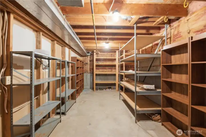 Large lower level storage area with shelving.