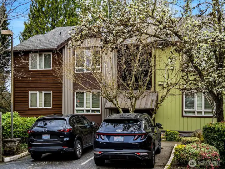 Nice mature trees and landscaping frames this condo complex.
