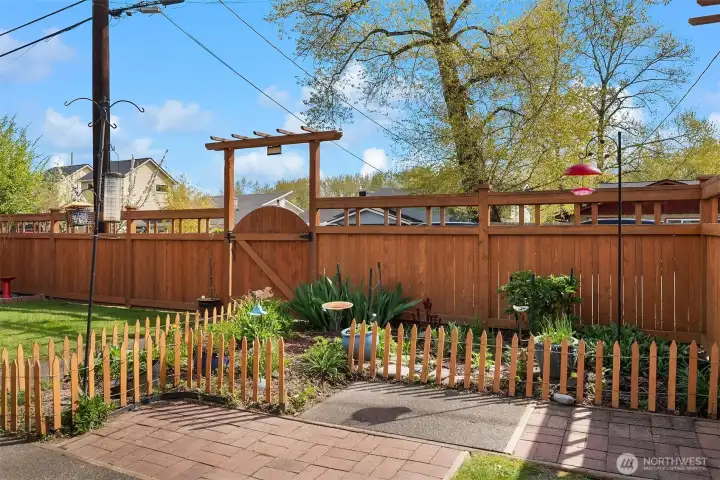 Charming English Garden....seeds from England!