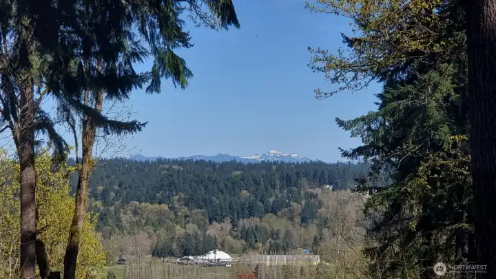 Cascade Mountain & Woodinville Valley Views