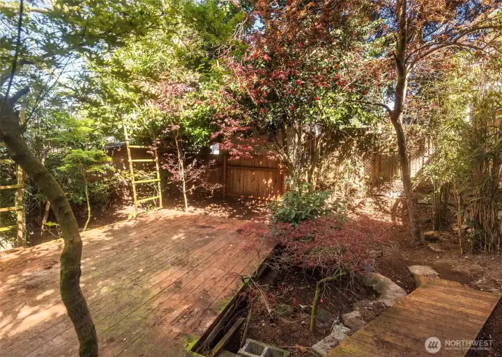Back yard with gorgeous decks.