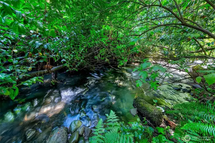Thornton Creek.