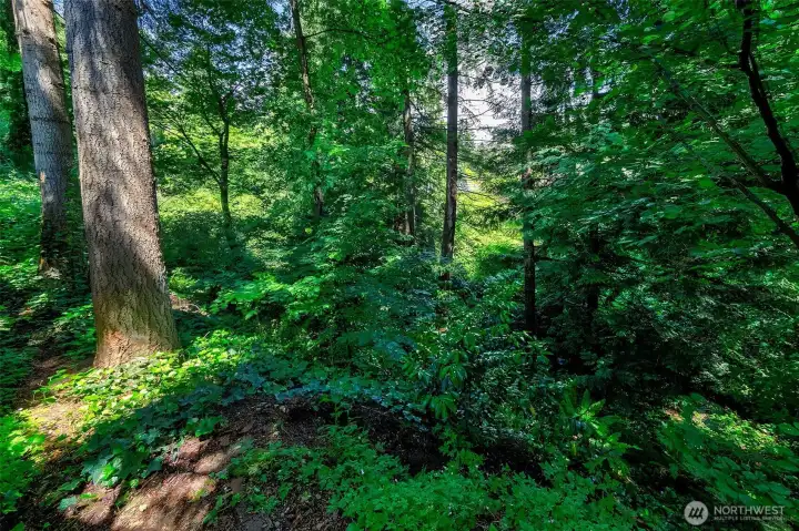 Peaceful wooded setting.