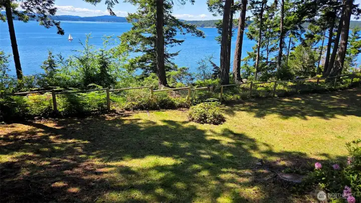 Large front yard