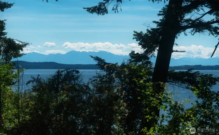 Views of Olypmics
