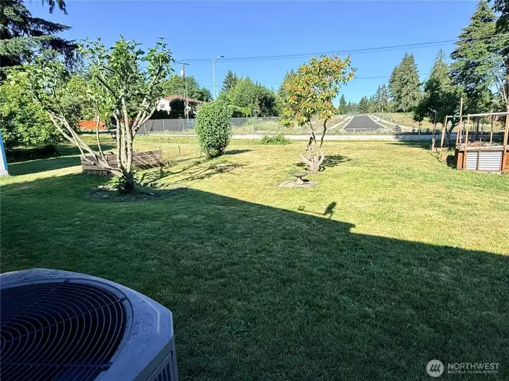 Spacious backyard