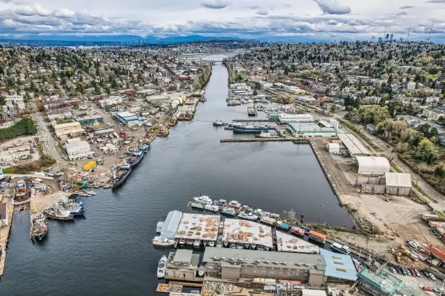 The Ship Canal leads to the locks where the fish ladder is. You can watch eagles fish for salmon as they travel up the canal to Lake Washington and on the rare ocassion seal are spotted fishing as well. The lifestyle is why we live on the lake.