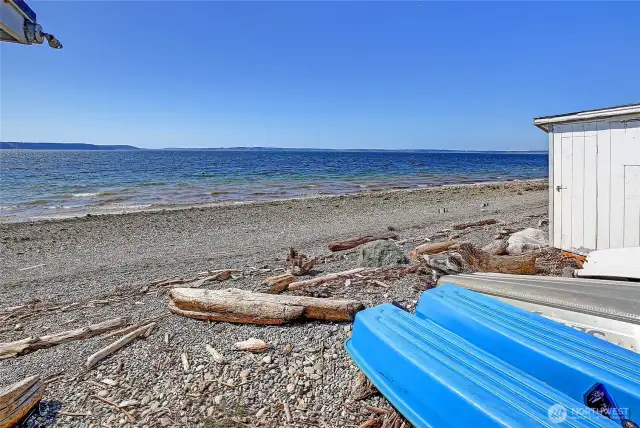 Madrona Beach is a Special Place~
