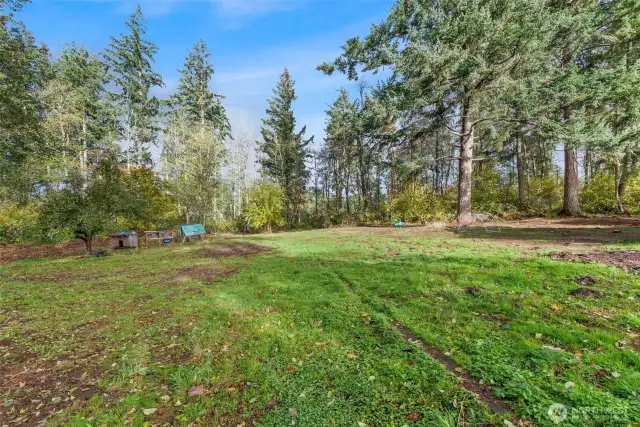 Discover a spacious 3-acre, low-maintenance property adorned with fruit trees, including sugar plums and apples, along with an inviting deck that offers ample space for gatherings and outdoor activities. This home allows you to prioritize relaxation and enjoyment—a true nature lover's paradise with room for your horses, cows & chickens. Sit on the welcoming private deck, take in the serene views, and listen to the tranquil sounds of nature. Relax as you watch deer, rabbits, owls, hawks, and eagles play. Experience the realization of your dreams every day in this exceptional home, where each day becomes a delight....