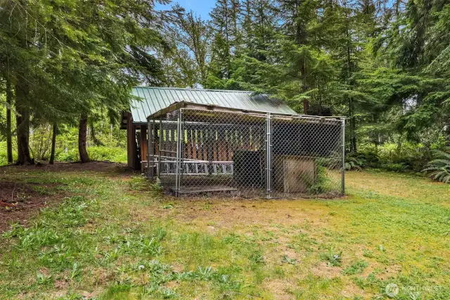 Wood shed & Dog kennels