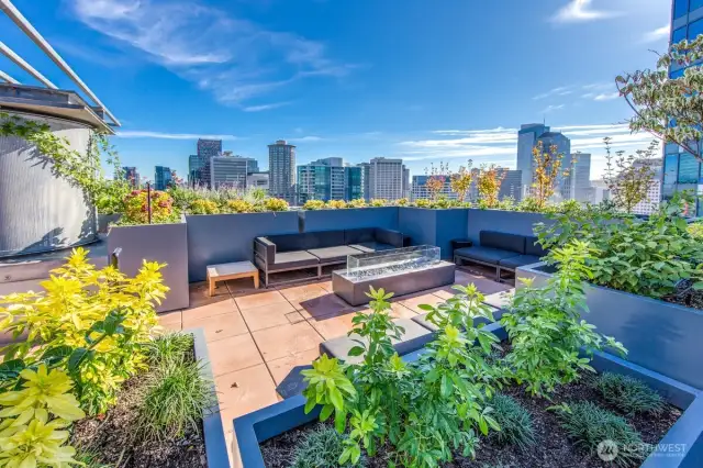 Rooftop lounge