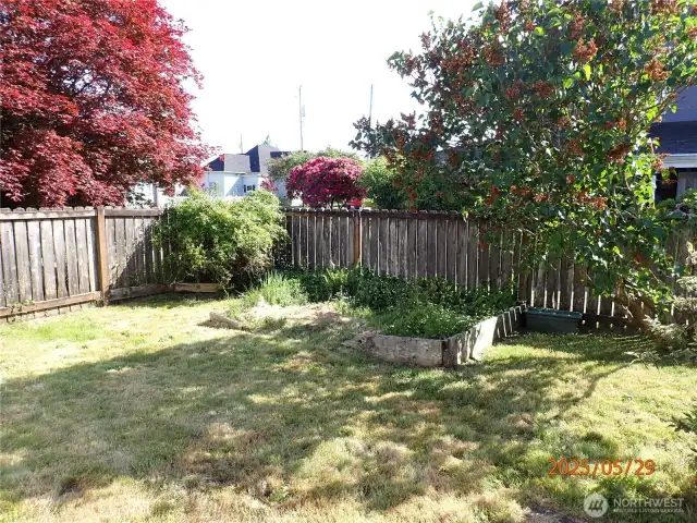 504 Side yard