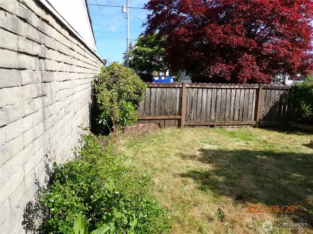 504 Side Yard