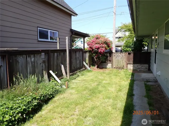 502 Back yard