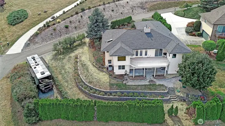 Lots of parking, terraced backyard with grapevines and fruit trees