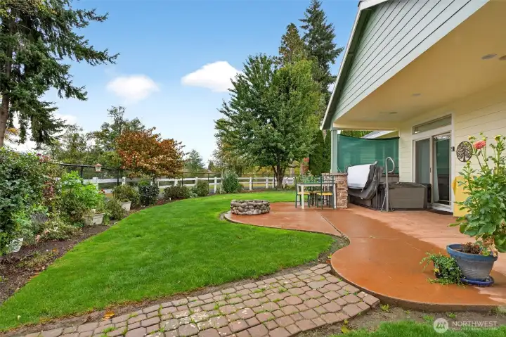 Another backyard view...