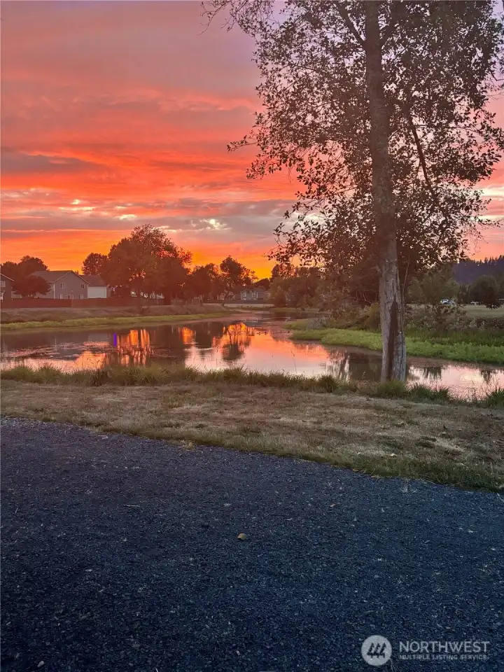 Sunset over the canal from the backyard.