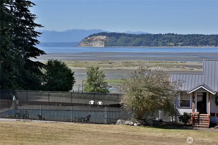 View of the clubhouse and heated pool with Double Bluff and The Olympics in the background. Residents may rent the clubhouse for parties/events.