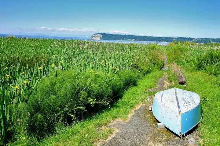 One of the paths to the beach. The natural beauty that lives here is beyond what photos can reflect.