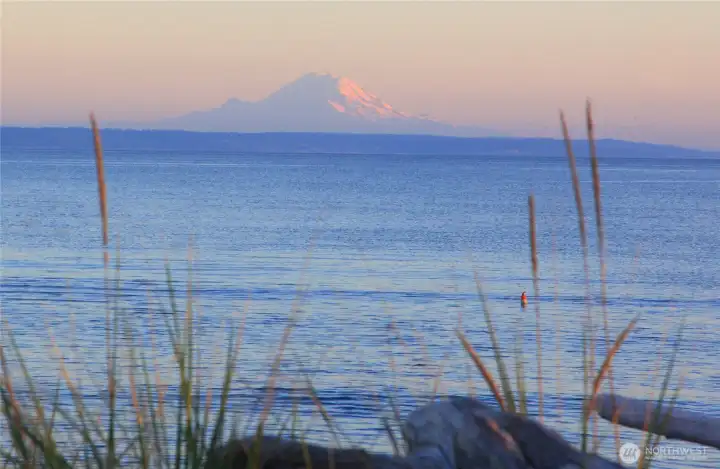 Mt.Rainier on clear days!