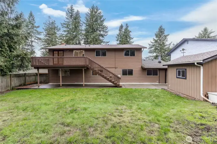 Huge open yard with tons of space to spread out