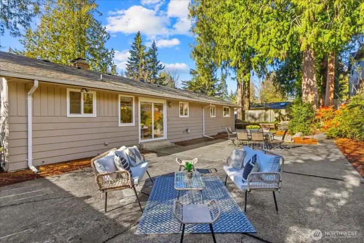 Large back yard and patio
