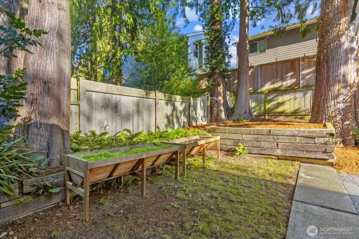 Raised beds are ideal for growing your own produce
