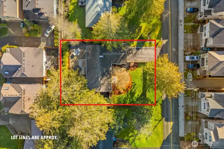 Approximate outline of the property