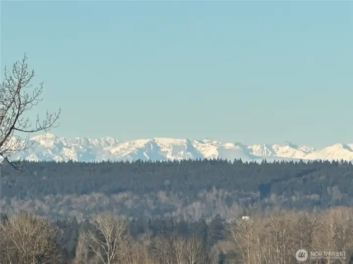 During the day this is what you'll be able to see! During the day this is what you'll be able to see!